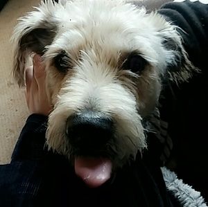 Meet your Posher, Taryn